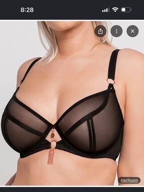 Sheer Plunge Underwire Bra with Rose Gold Accents - Black